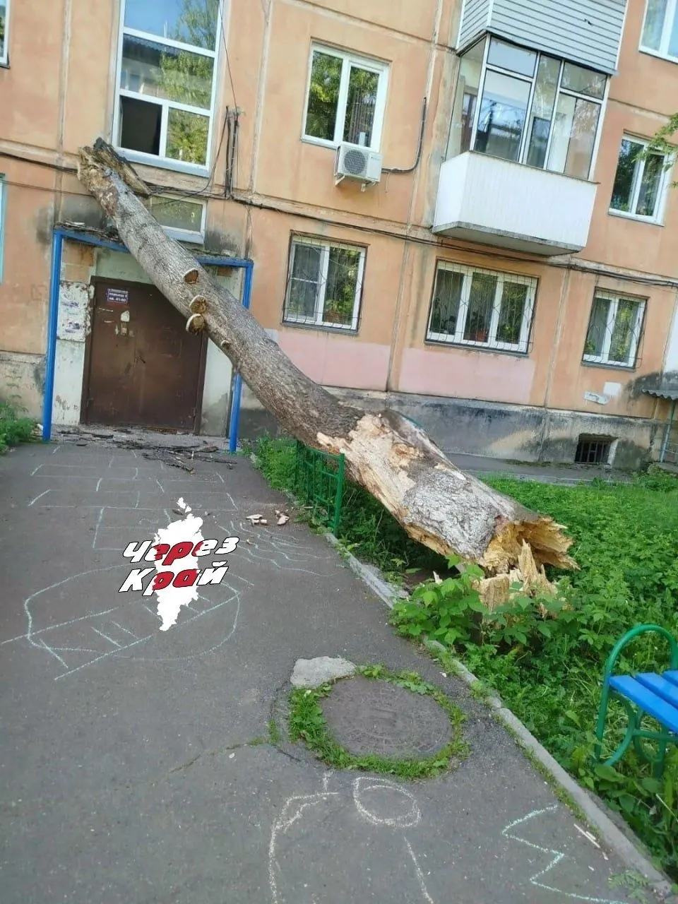 На улице Коммунальной дерево упало на дом №4а и повредило козырёк третьего подъезда. Жители отмечают, что при этом уделяют внимание вырубке здоровых деревьев, тогда как аварийные остаются на улицах.