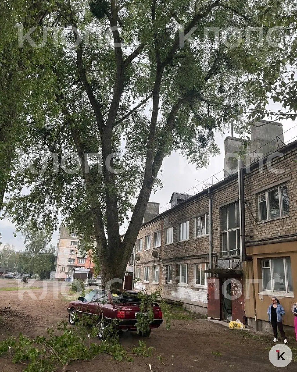 В микрорайоне Александра Космодемьянского ветка упала на машину — местные связывают инцидент с брошенными работами по обрезке и намерены обратиться в прокуратуру.