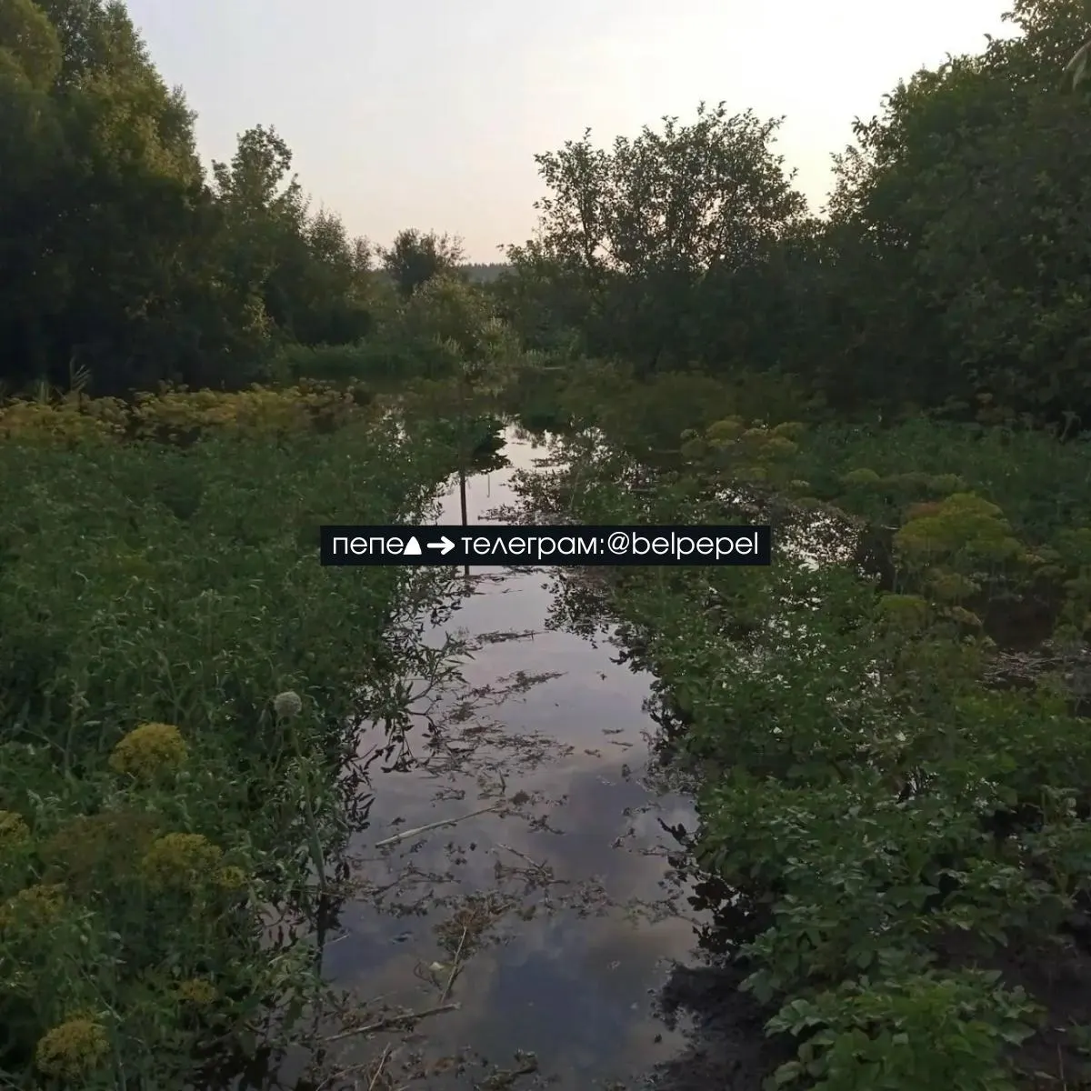 После прорыва плотины Белгородского водохранилища начался неконтролируемый сброс воды: река Нежеголь быстро наполнилась, в селе Архангельское подтопило огороды. Власти подтвердили прорыв спустя три дня.