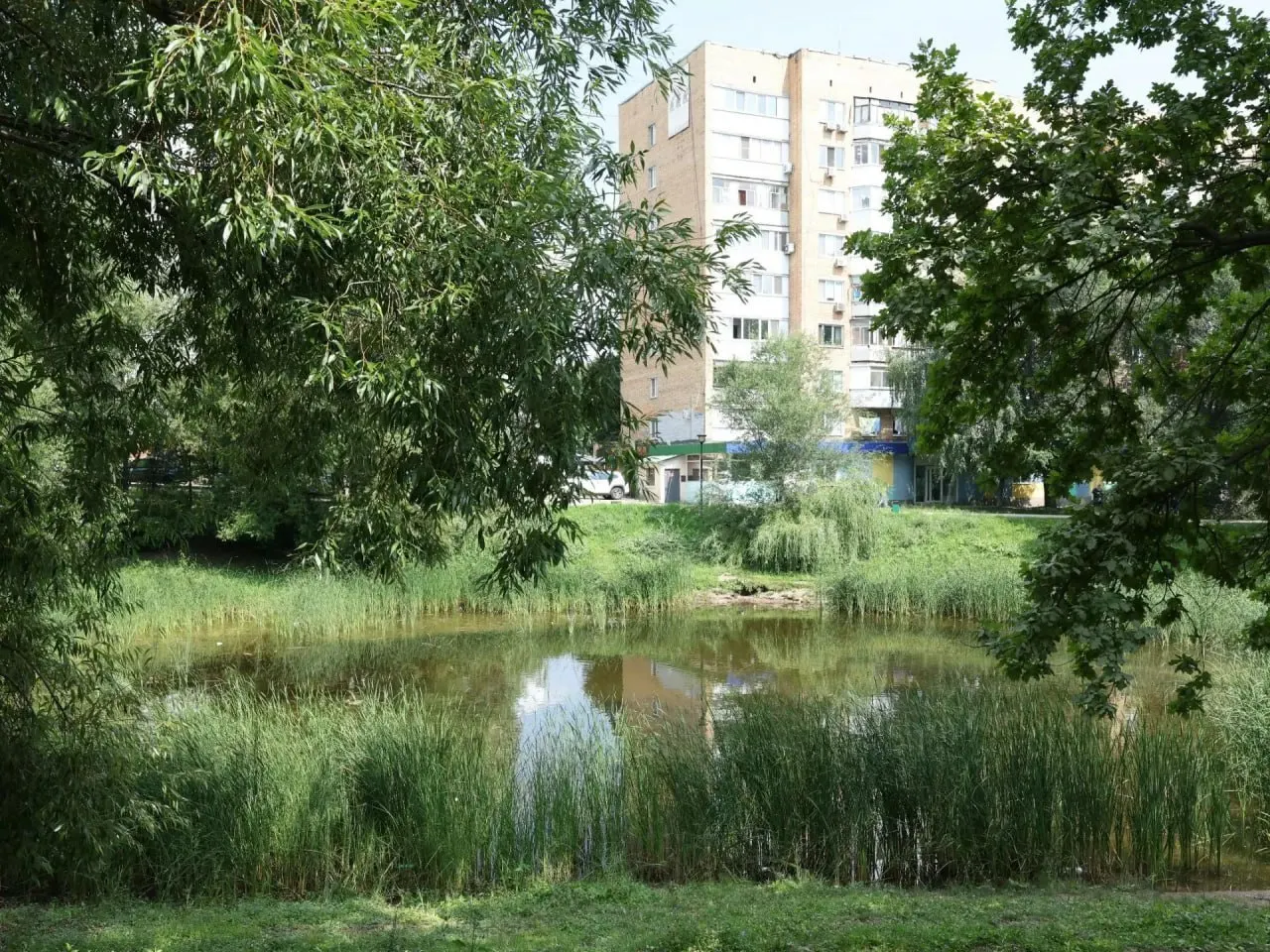 Озеро пересыхает из‑за отсутствия притока и отсутствия фильтрации. На восстановление 13 городских водоёмов потребуется более 2 млрд рублей.