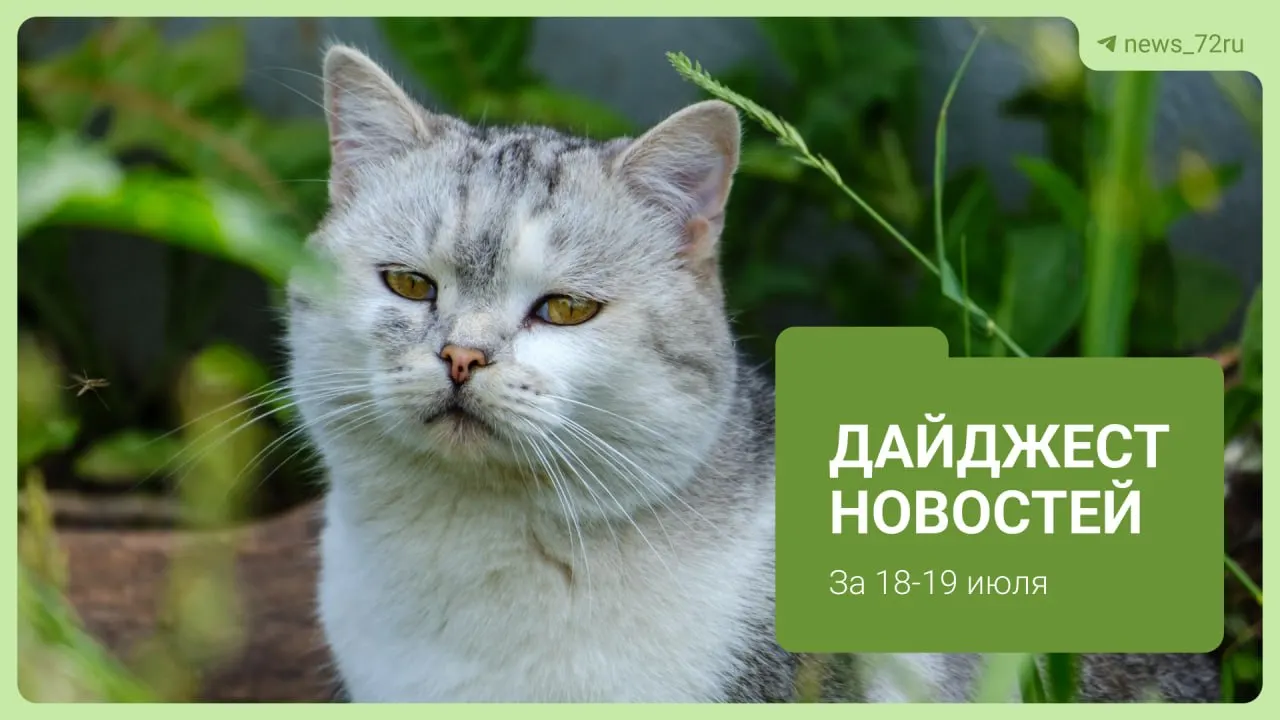 Скандал на&nbsp;заправке: женщины подрались из‑за&nbsp;очереди