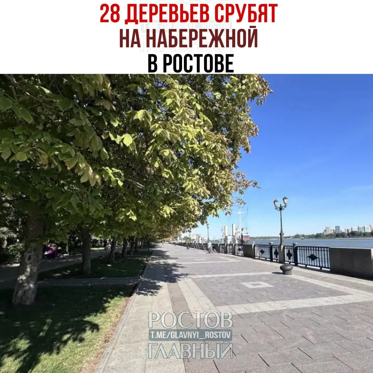 Управление благоустройства ищет подрядчика для сноса 28 ветхих деревьев и обрезки 77 тополей на улице Береговой; подрядчик должен будет также выкорчевать пни, засыпать ямы и утилизировать остатки.