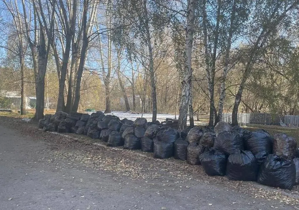 Город ищет подрядчика для круглогодичной уборки 11 территорий у административных зданий. Начальная цена контракта — 12,5 млн рублей; работы запланированы с 1 января 2027 года по 30 апреля 2028 года.