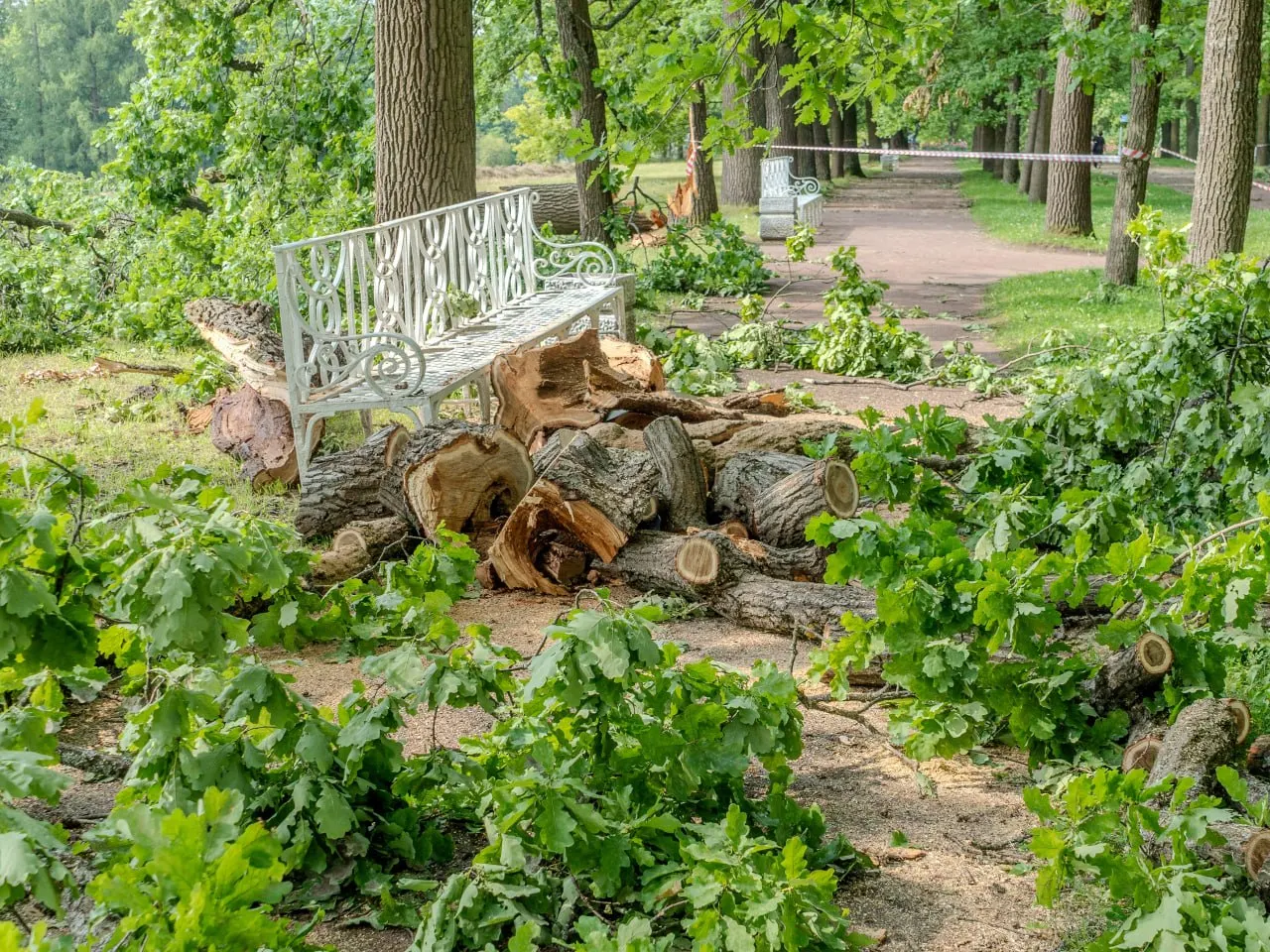 Короткая сводка — в Петербурге из‑за шторма повалило более 180 деревьев, часть парков закрыта; идут ремонты энергосетей. В стране — дела с обвинениями в экстремизме, заявления о предотвращённых терактах и жертвы после ударов по портам.