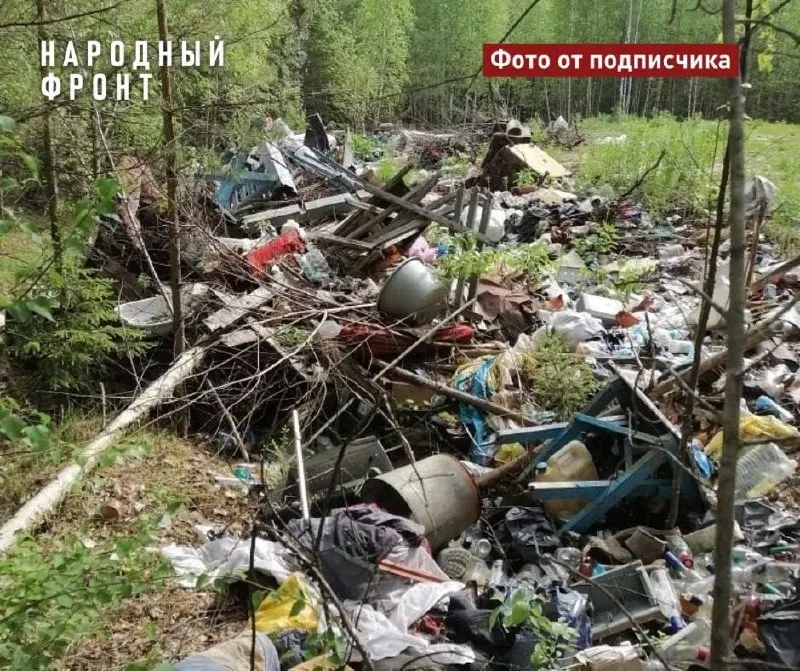 Несанкционированные свалки у деревень Томской области годами не убирают: запахи пищевых отходов привлекают медведей, местные боятся выходить в лес. Общественники требуют действий от властей.