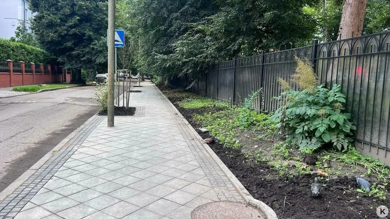 Администрация требует вернуть землю в районе Грига и Литовского вала: пока идут суды, ремонт и благоустройство подхода к детсаду невозможны.