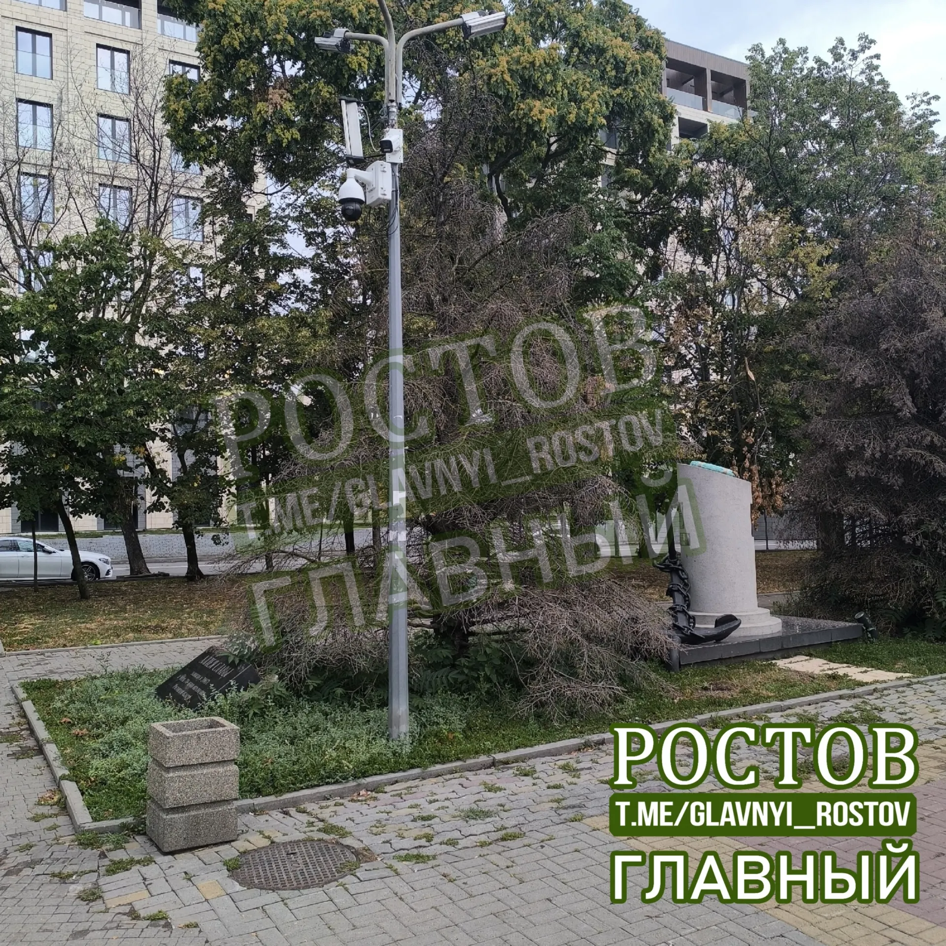 Местные жалуются на разрушенный сквер со смотровой площадкой у улицы Седова: сухие 70‑летние ели, повреждённые урны и множество видеокамер на каждом столбе.