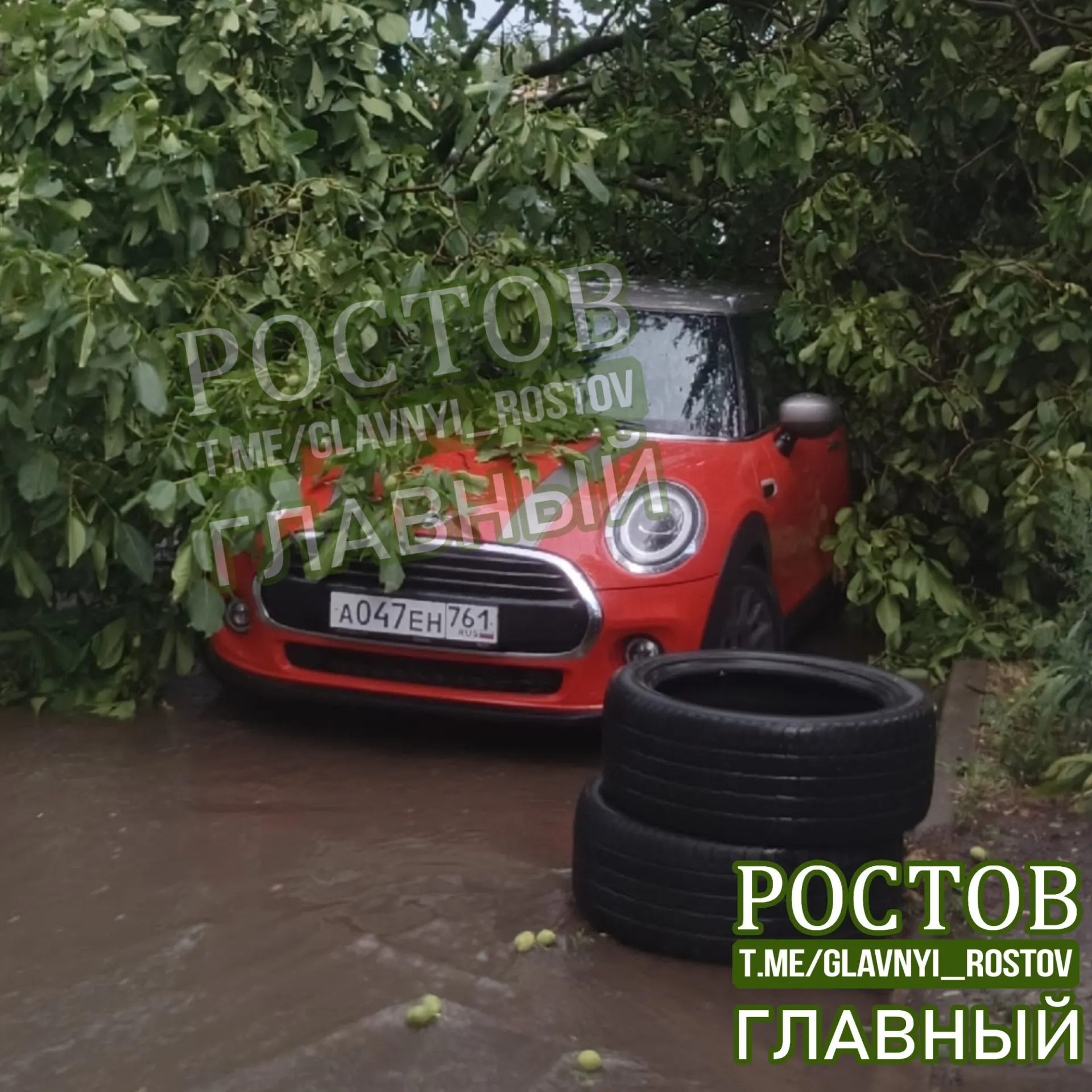 Житель сообщил, что на участке между Кировским и Журавлёва упало дерево — проезд заблокирован. Очевидцы отмечают, что дозвониться до городских служб пока невозможно, также есть отключение электроэнергии.