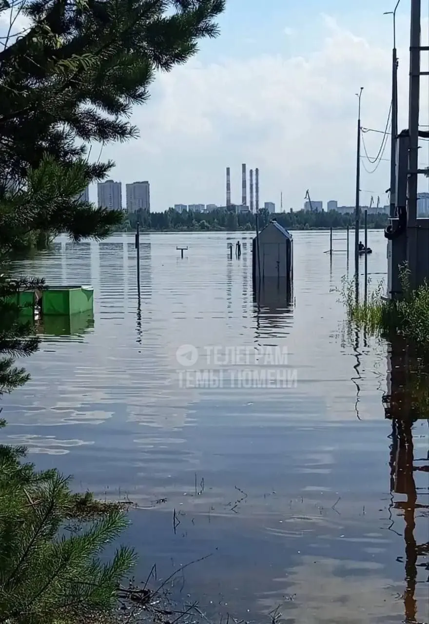 Жители нескольких районов Тюмени сообщили о резком запахе воды и проблемах с бытовыми нуждами. Роспотребнадзор утверждает, что вода соответствует требованиям и запах должен исчезнуть в течение нескольких дней.