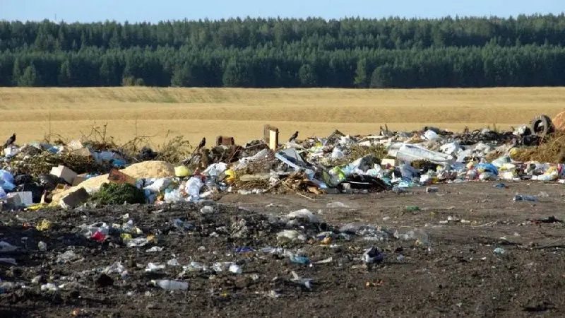 В ряде сел Алтайского края региональный оператор не выдерживает график вывоза отходов из‑за дефицита водителей. В округе объявили режим повышенной готовности и привлекают сторонние организации для вывоза мусора.