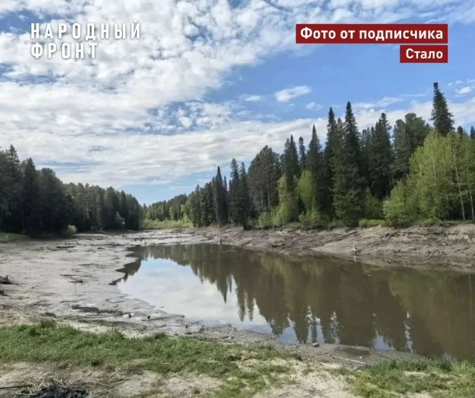 В посёлке Мирный Томской области в конце мая прорвало дамбу: вода ушла, озеро пересохло, погибли рыба и растения, пострадали дорога и дачные участки.