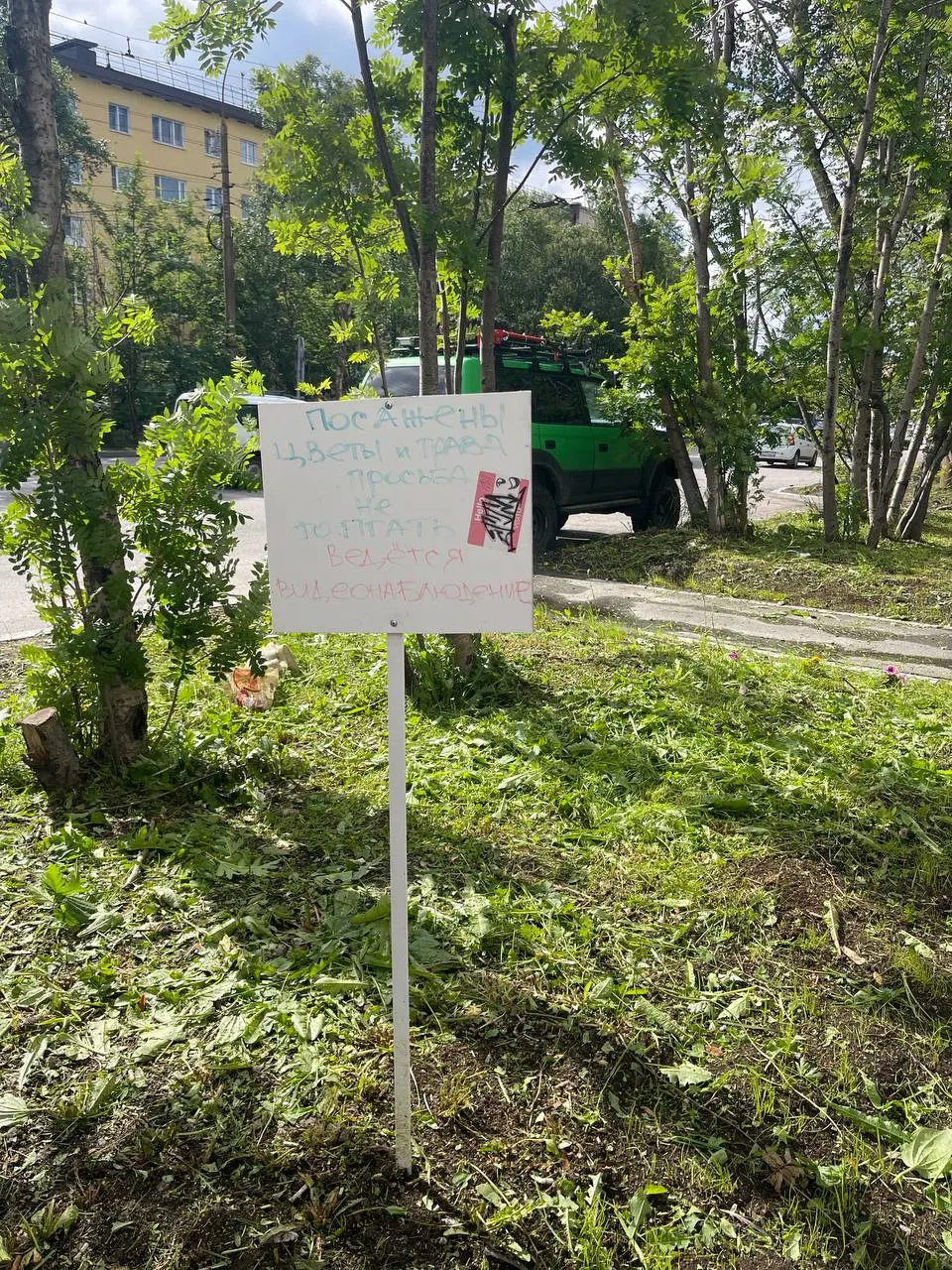 На улице Полярные Зори во время покоса травы часть недавно посаженных жителями цветов оказалась скошена, несмотря на табличку с просьбой не ходить по газону.