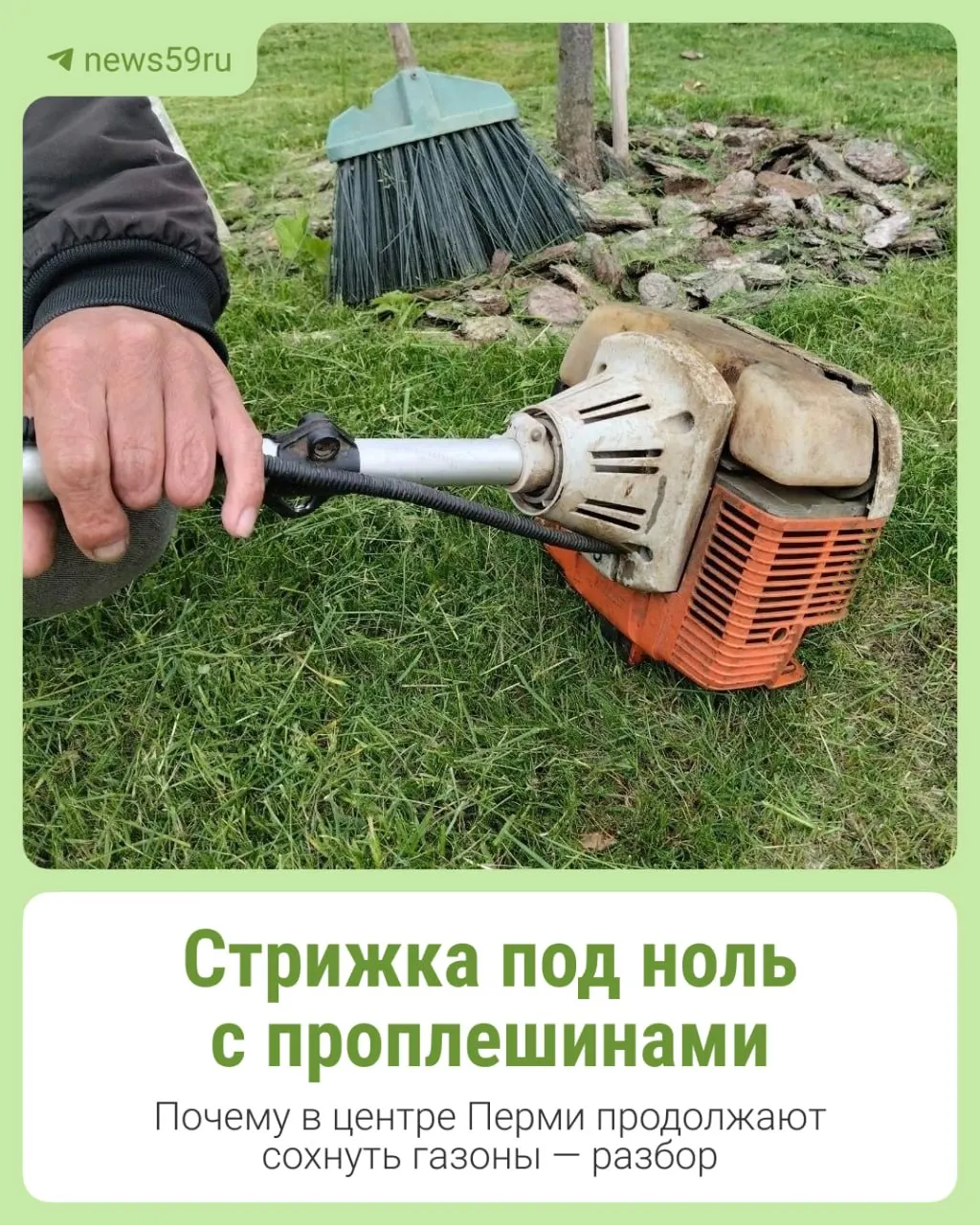 В центре Перми газоны постригли почти в ноль и не убрали скошенную траву, из‑за чего на газонах образуются проплешины; в администрации обещали дать пояснения.