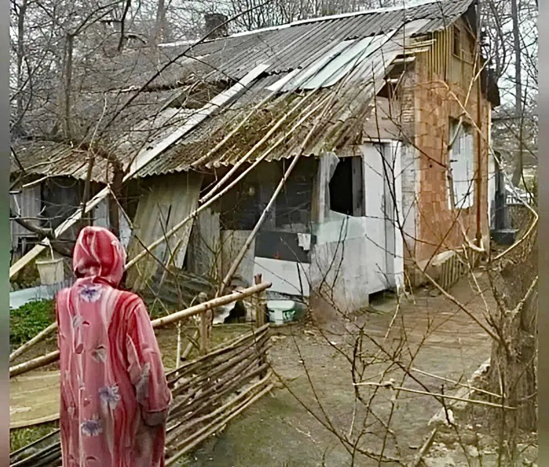 Её жильё сняли с муниципального баланса в 2012 году; после недавнего шторма сорвало часть крыши. Пенсионерка отапливает дом дровами, еженедельно проходит 5 км до парома к больному сыну и отказывается переезжать в дом престарелых — соседи готовят жалобы в прокуратуру.