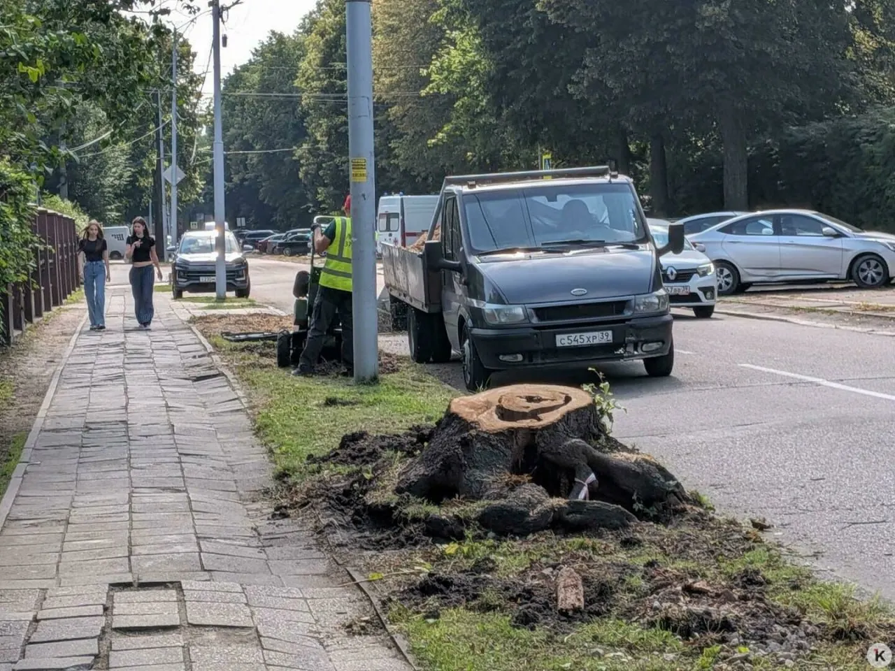 Жители выражали недовольство из‑за сноса лип. Комиссия в 2024 году рекомендовала санитарную рубку 26 деревьев: часть уже спилена, на многих стволах видны гниль и щели. Компенсационные посадки запланированы на осень 2027 года.