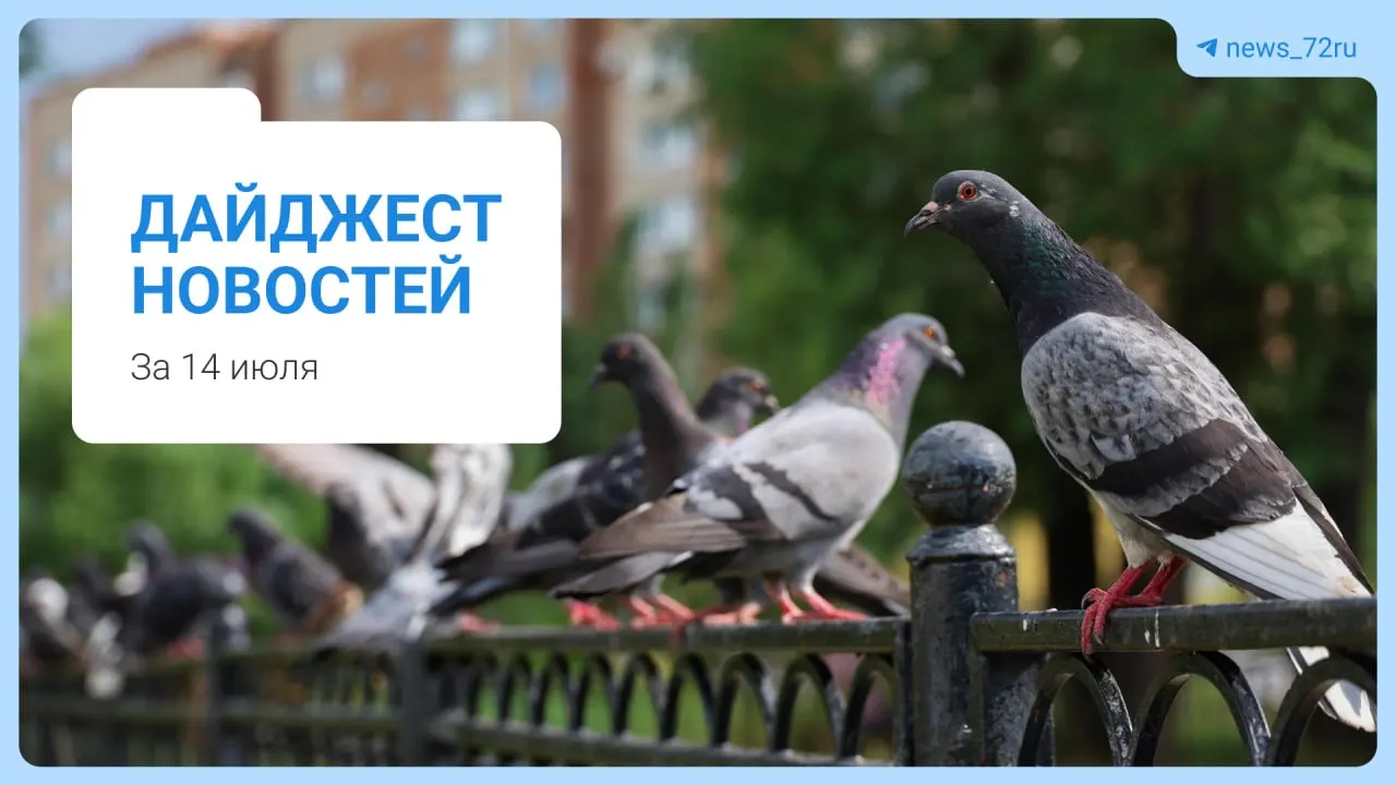 Жителям центра Тюмени начали приносить листовки с предупреждением о переходе на круглосуточную платную парковку. В дайджесте также — новости о вузах, экстрадиции блогера в список экстремистов, подтоплении пляжа и другие события.