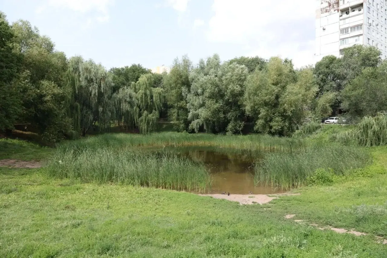 Водоём в сквере «Дубовый колок» давно в запустении: к 2025 году он полностью высох, оставив яму с грязью и мусором. Власти планируют самостоятельно восстановить его. Сквер расположен на пересечении улиц Стара-Загора и Димитрова.