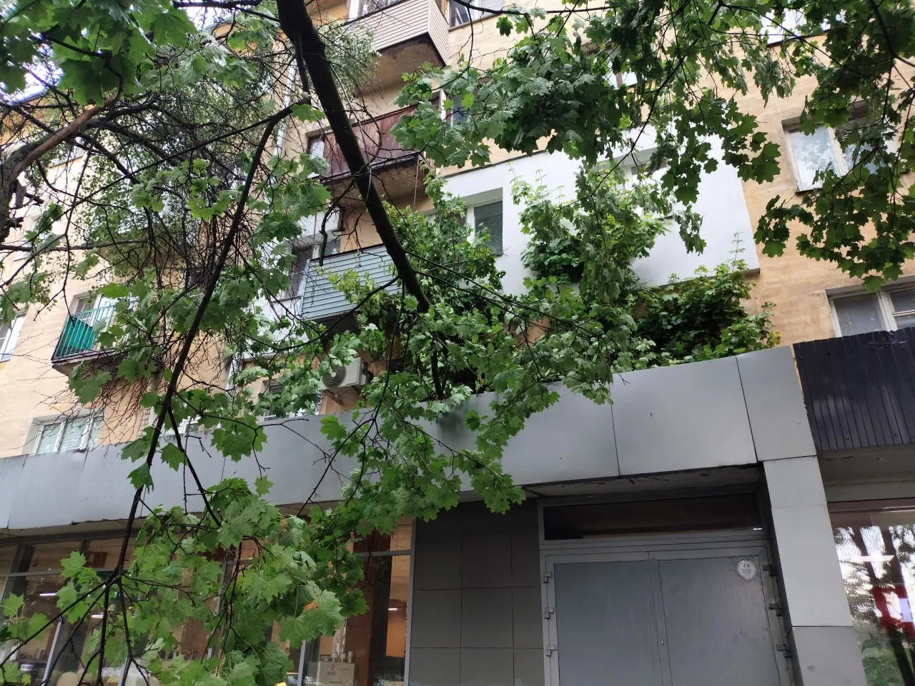 На проспекте Гагарина дерево упало на фасад дома и закрыло окна квартир. На улице Вологдина во время грозы сломало два дерева: часть одного нависла над подъездом, другая — над дорогой. Жители жалуются на отсутствие реакции коммунальных служб.