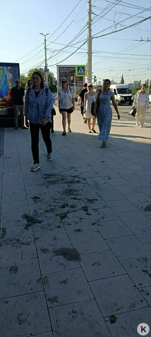 Глава администрации Калининграда Елена Дятлова обратила внимание на тёмные пятна и остатки раздавленных плодов на светлой плитке и призвала горожан не поддерживать несанкционированную уличную торговлю.