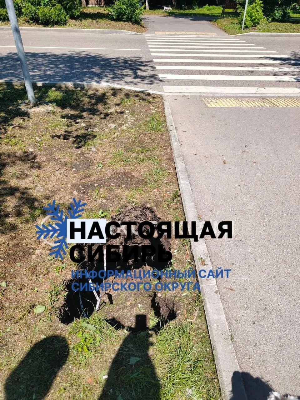 После дождей у дома №61 на Трилиссера просел участок земли: асфальт деформировался, жители опасаются обрушения и просят проверку коммунальных служб.