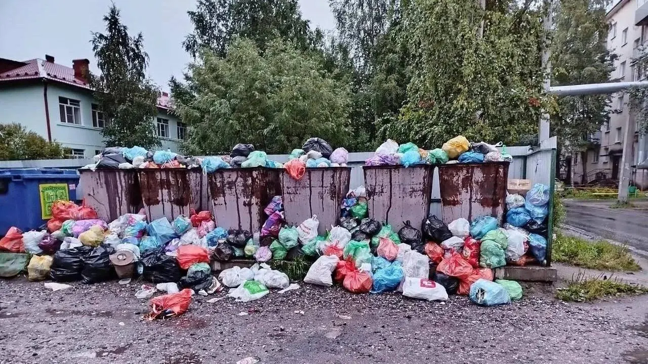 Жители жалуются, что на прошлой неделе вывоз был всего два раза, а сейчас отходы не вывозят пять дней. В «ЭкоИнтеграторе» объяснили задержки поломками техники и пообещали перерасчёт.