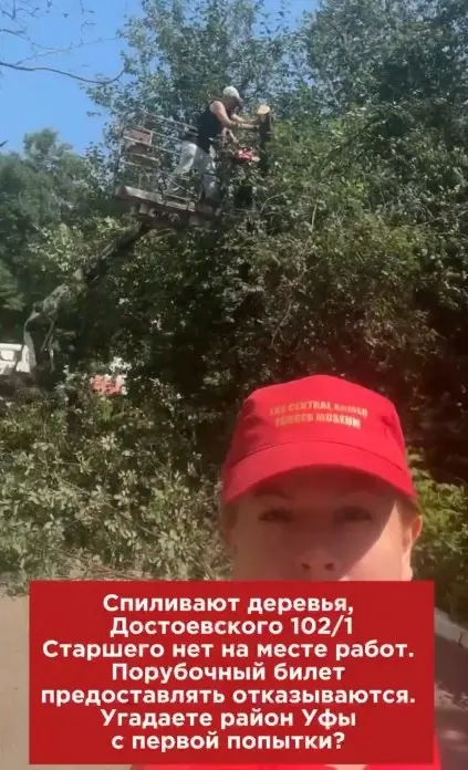 У дома на улице Достоевского заметили человека, отказавшегося показать разрешение на вырубку. Разъясняем, какие документы должны быть у порубщика и когда разрешение не требуется.