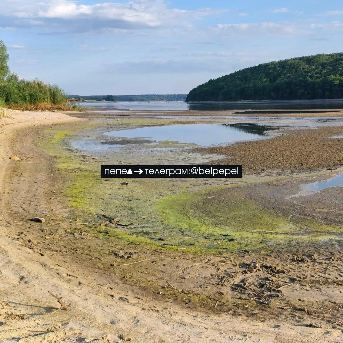 В результате прорыва плотины Белгородского водохранилища начался неконтролируемый сброс воды, водоём потерял до 35% объёма за несколько дней, ниже по течению фиксируются подтопления и массовая гибель водных обитателей.
