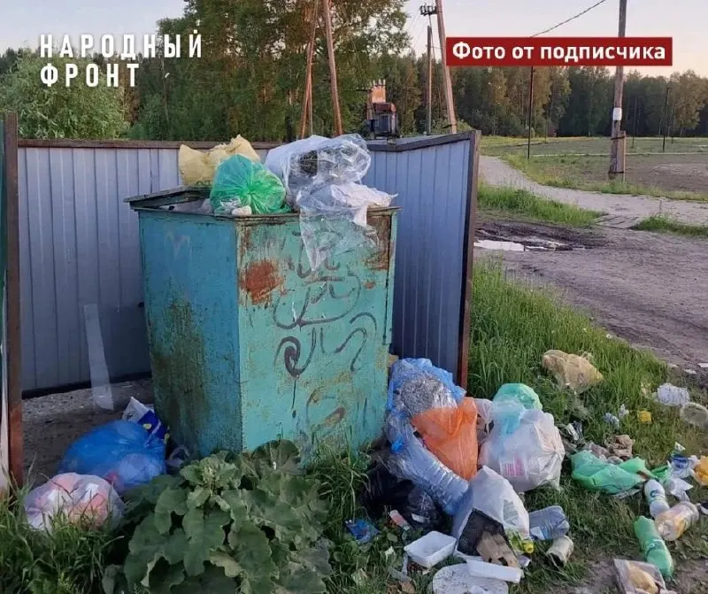 Жители села Бакчар в Томской области жалуются на задержки с вывозом твердых коммунальных отходов: контейнеры переполнены, отходы разлетаются по улицам, а запах и бродячие собаки создают санитарную проблему.