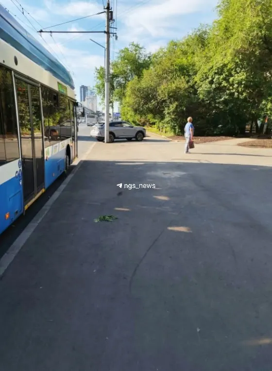 Жители жалуются, что остановочный павильон убрали во время ремонта асфальта и пока не вернули. В мэрии заявили, что демонтировали его для приведения к требованиям ГОСТ; новые работы оценили в 517 тысяч рублей, установку обещают до 11 июля.