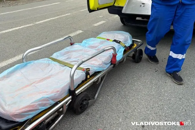 Лифты в доме на улице Леонова не работают с июня 2024 года. Жильцы, особенно пожилые и маломобильные, вынуждены подниматься пешком; по факту нарушения безопасности начата проверка по ст. 238 УК РФ.