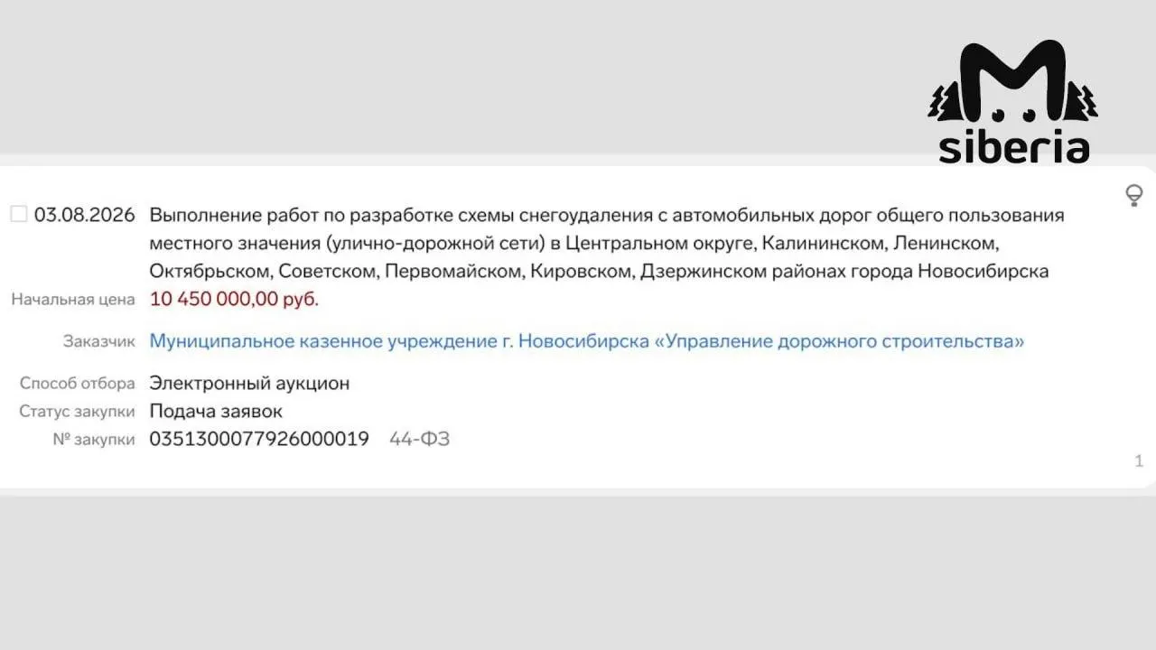 Городские власти выделили 10,5 млн рублей на создание карты уборки снега и решение текущих проблем с полигоном и техникой.