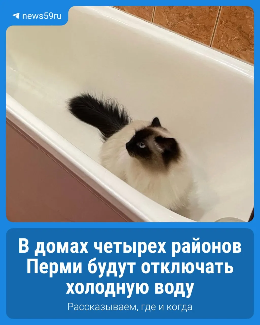Жителям четырех районов Перми на ближайшие сутки отключат холодную воду из-за аварийных и плановых работ на сетях; опубликован график с адресами домов.