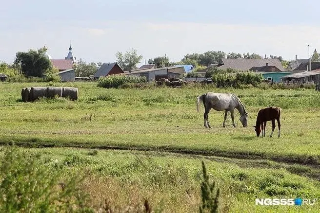 Регулятор сообщил, что тарифы считаются экономически обоснованными, однако суммы в квитанциях заметно варьируются в зависимости от населённого пункта. В сельских районах тарифы ниже, чем в крупных городах.
