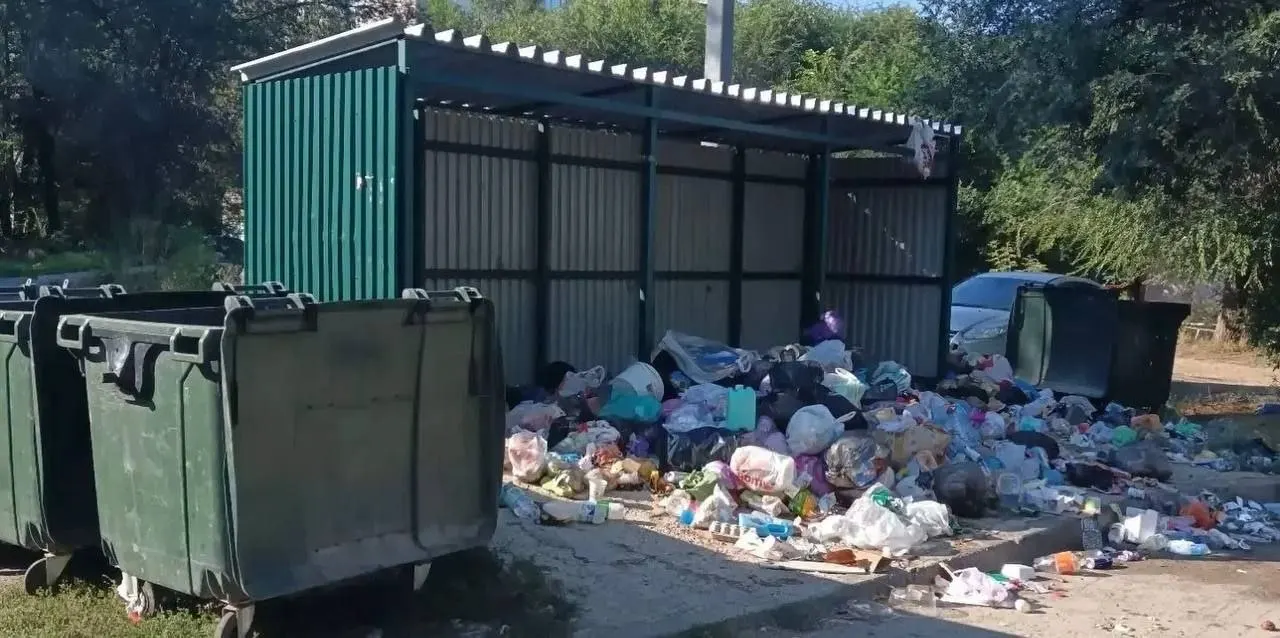 Местные жители жалуются на переполненные контейнерные площадки в нескольких районах города, ситуация вызывает тревогу.