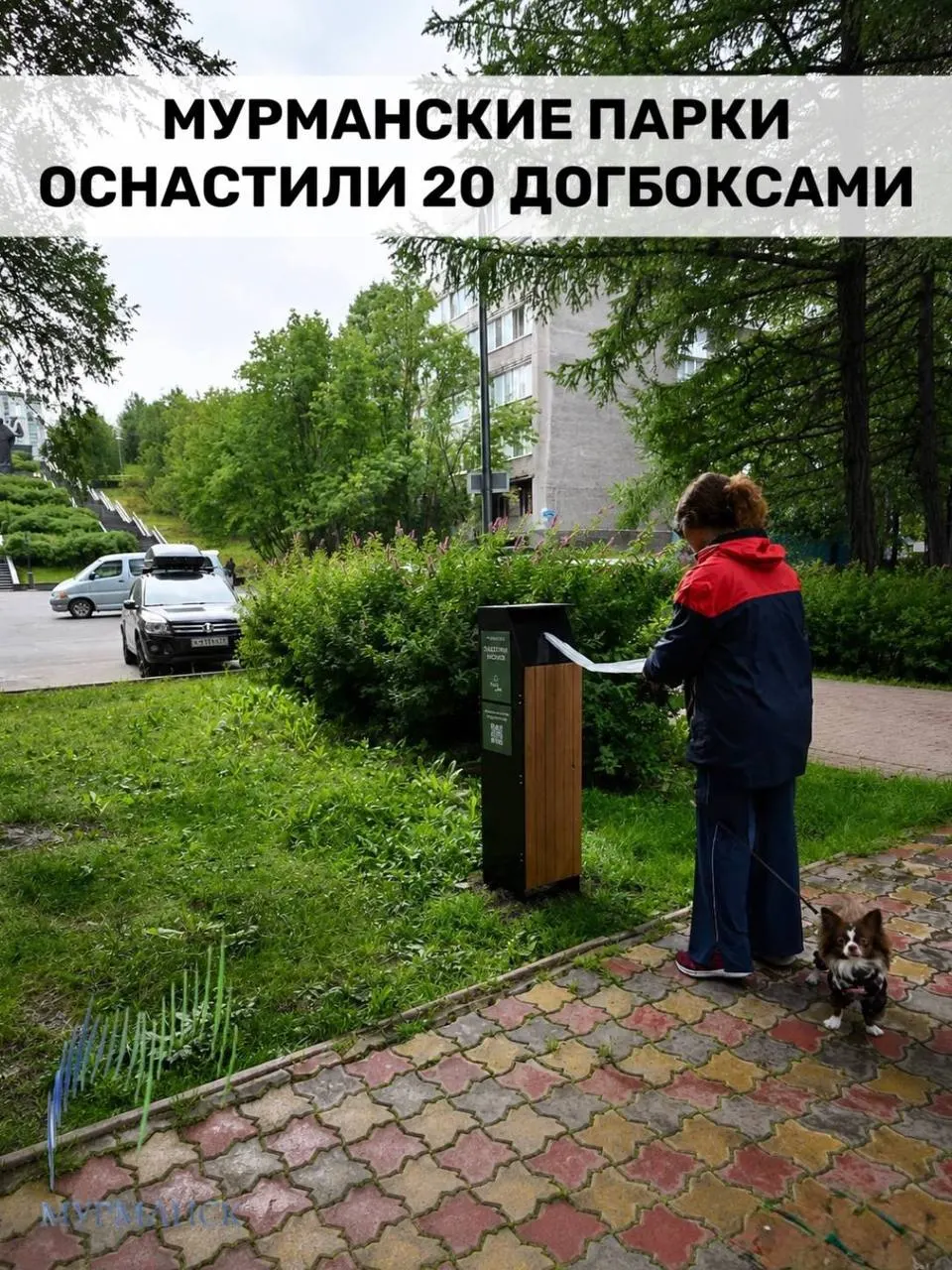 20 догбоксов и наборы пакетов для уборки за питомцами установлены в нескольких зонах отдыха города. Пакеты из бумаги и кукурузного крахмала, боксы прочные и рассчитаны на уличные условия.
