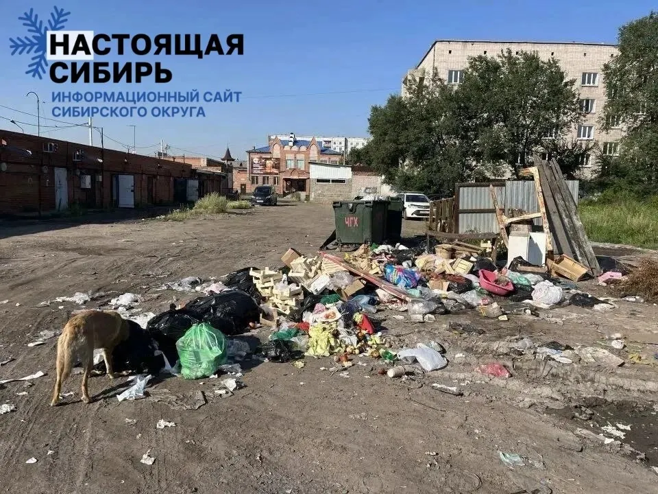 Местные жители требуют устранить стихийную свалку возле центрального рынка; обращения к властям остаются без эффекта, мусор вывозят некачественно и вокруг распространяется зловоние.