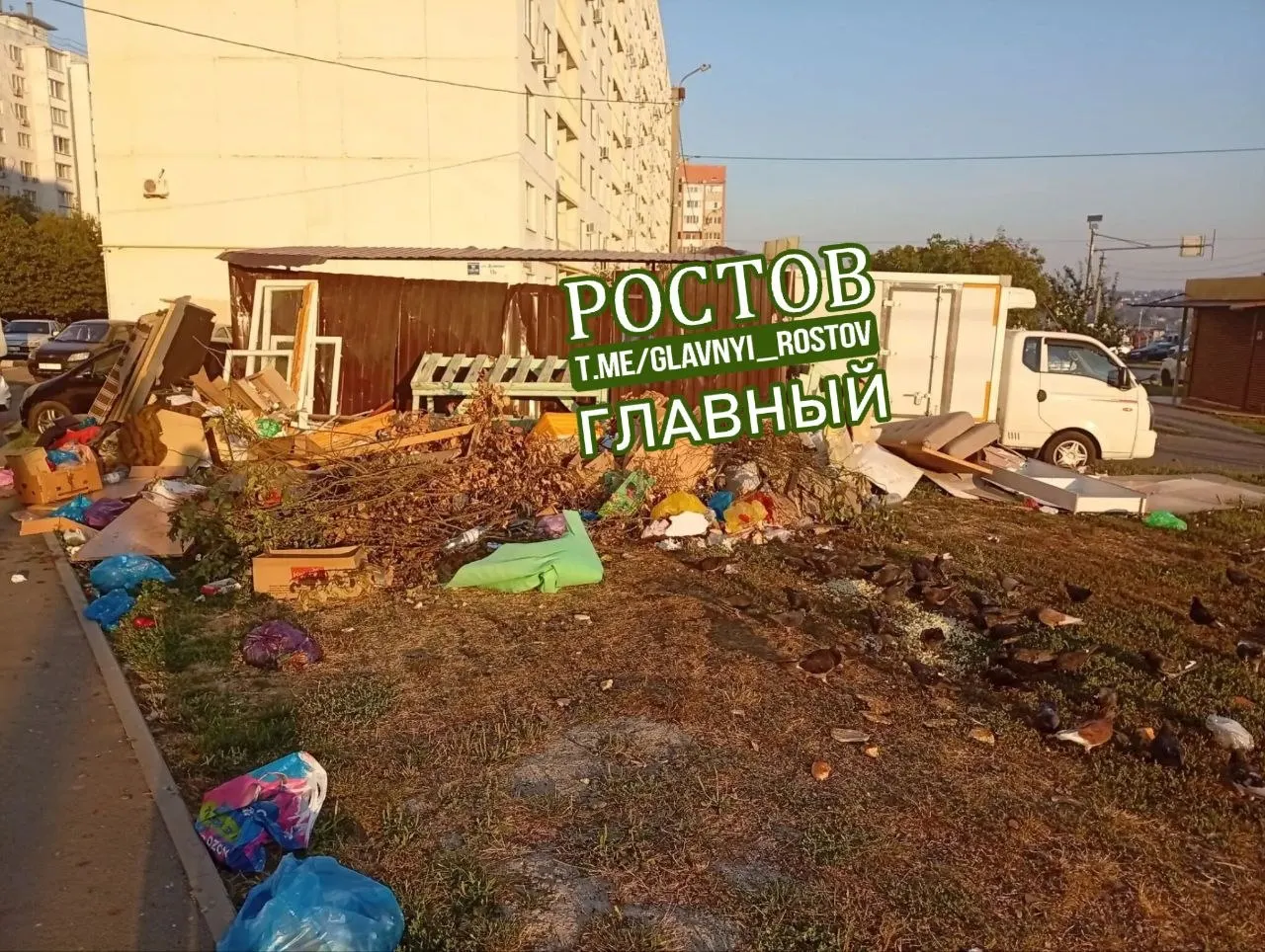 Жители Ростова жалуются на нерегулярный вывоз мусора, запахи и беспорядок возле контейнеров, требуя оперативного решения проблемы.