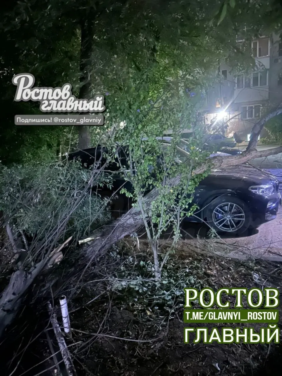 Ночью на улице Соколова упало дерево, повредив три автомобиля. Жителей тревожит ситуация на детской площадке: ТСЖ обращалось в администрацию района, но ответа не поступило, и рядом остаются сухие деревья, которые могут упасть.