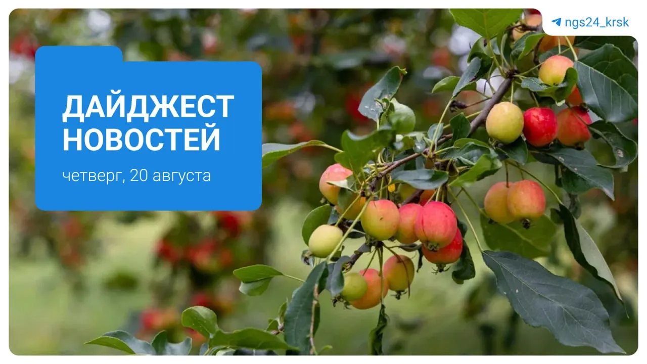 Ключевые события региона: рост цен на бензин, происшествия и инфраструктурные планы Красноярского края.