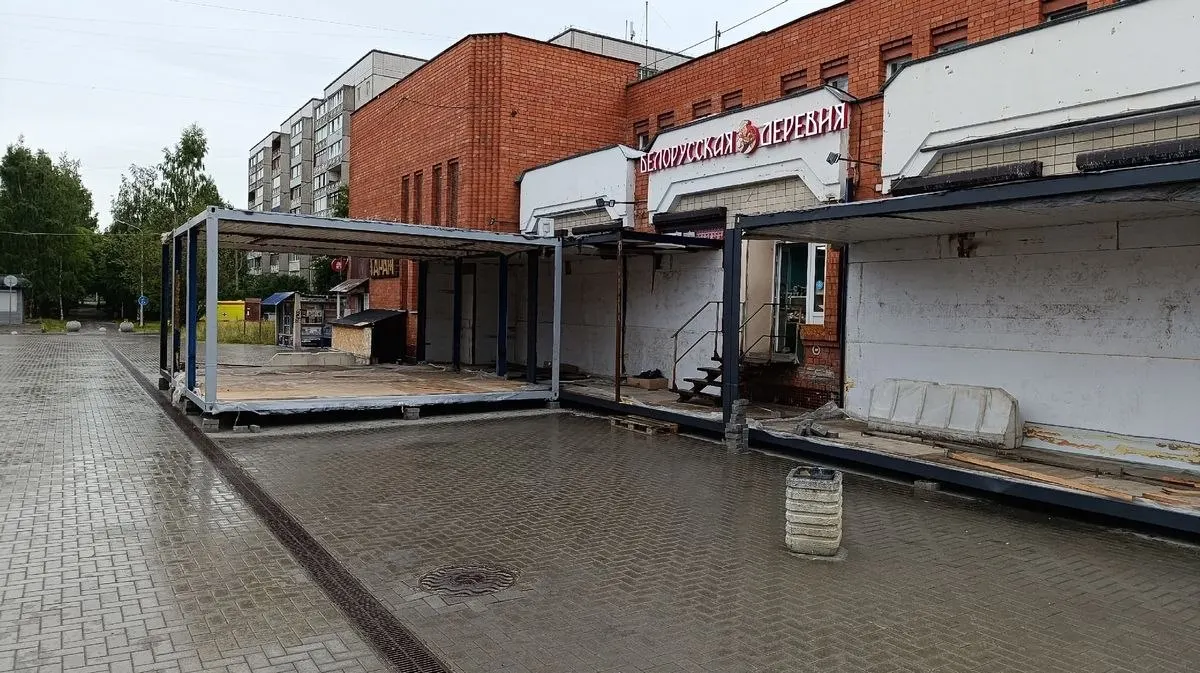 В Петрозаводске в продухе, закрытом незаконными ларьками, оказались котята. Очевидцы сообщили, что пока мама-кошка может пробраться к ним через небольшой проход, но дальнейшие строительные работы могут перекрыть доступ.