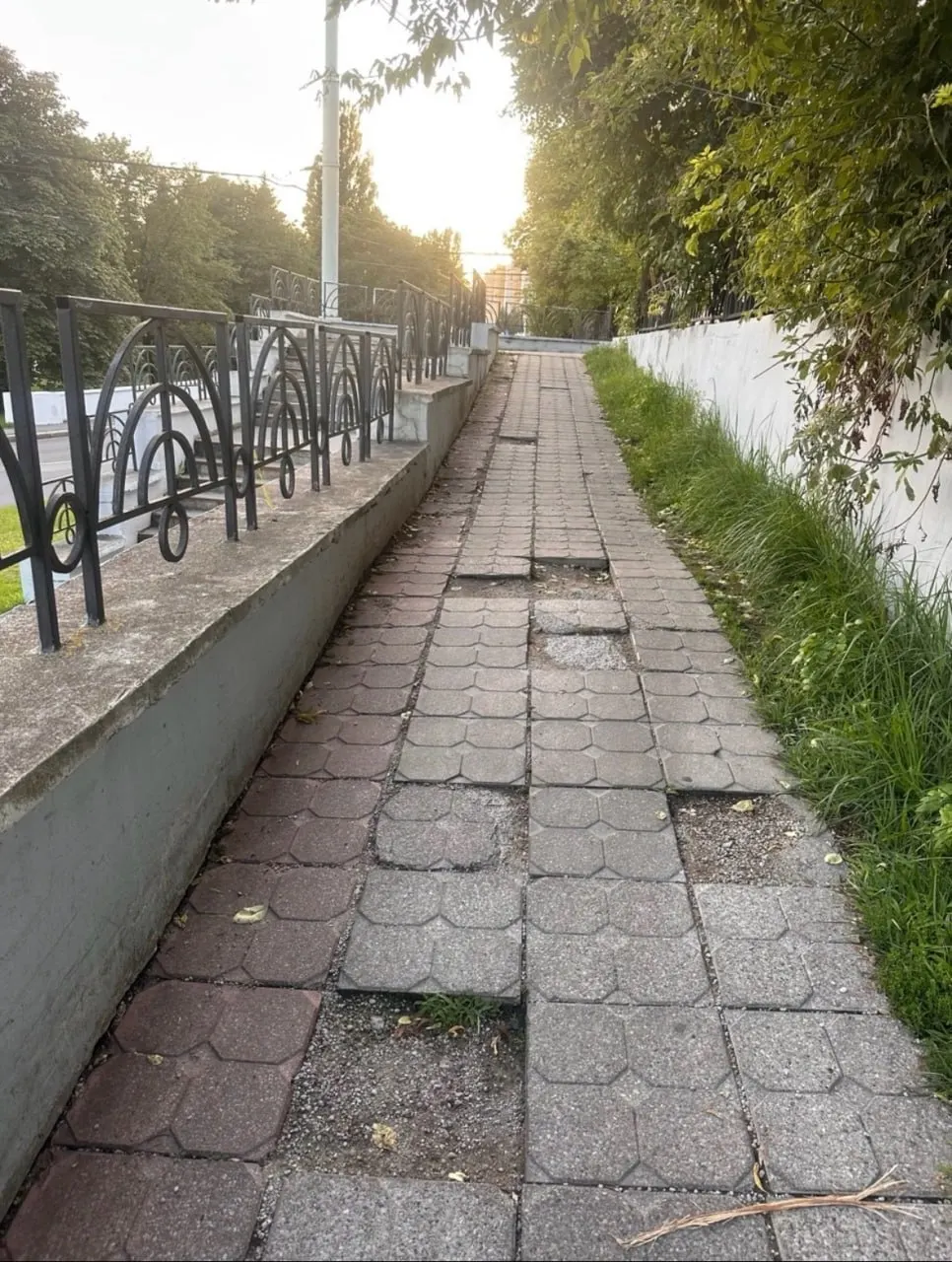 Жительница Калининграда пострадала на участке для велосипедистов; ремонт дороги запланирован на 2027 год