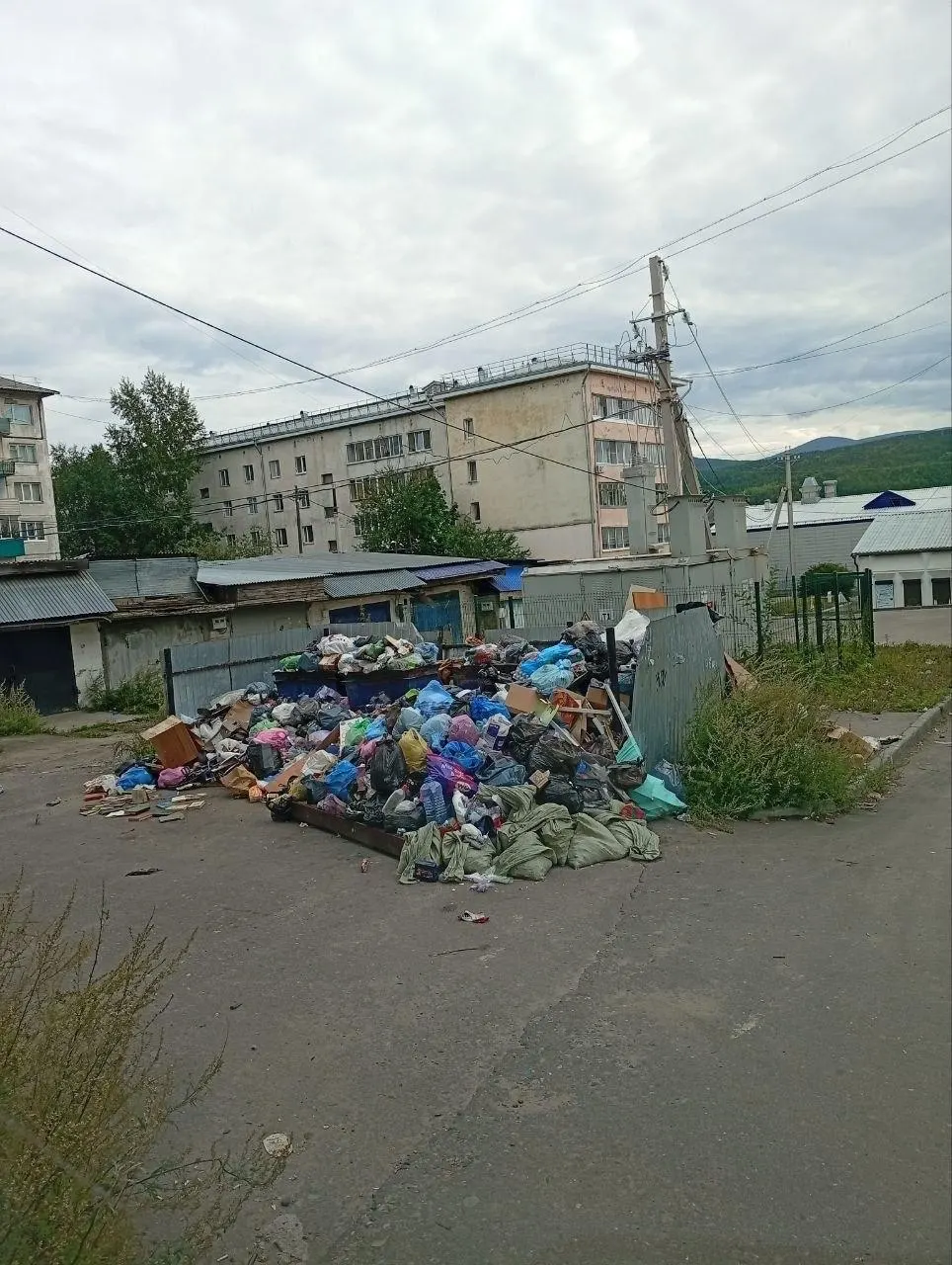 Несколько недель жители города сталкиваются с невывозом отходов; оператор не реагирует, а ситуация затрагивает коммунальные услуги и здоровье горожан.