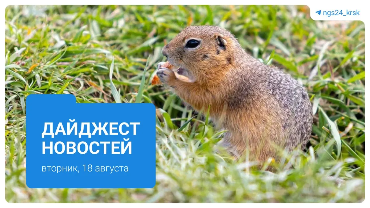 Ключевые темы дня: тревоги жителей по поводу благоустройства и состояния фундамента, ночное происшествие на дороге, обновления в культуре и транспортной инфраструктуре, а также любопытные городские новости.