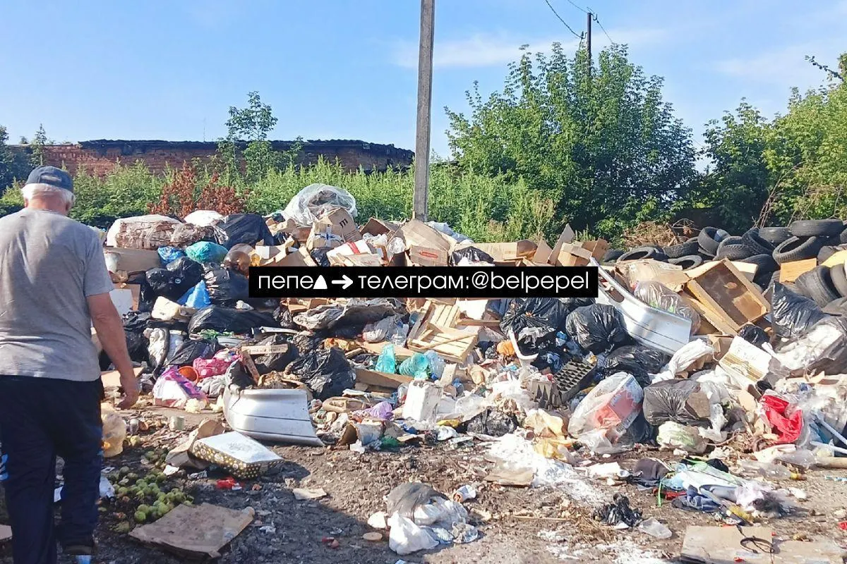 Жители ряда населённых пунктов сообщают о многотедельных задержках вывоза отходов; власти обещают восстановить график, пока мусор накапливается.