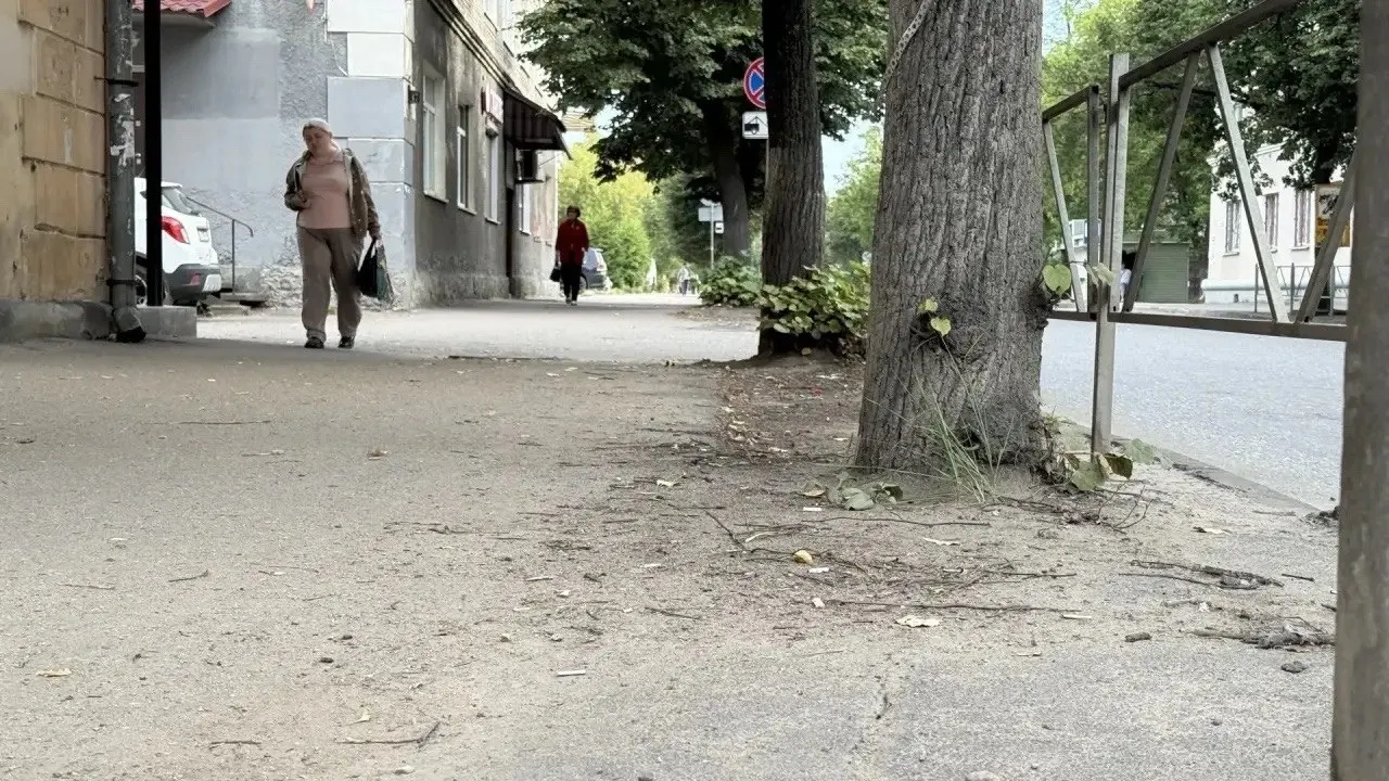 Губернатор отметил значительные вложения в развитие региона, но указал на беспорядок и нарушение дизайн‑кода в Великих Луках, пообещав взаимодействовать с прокуратурой.