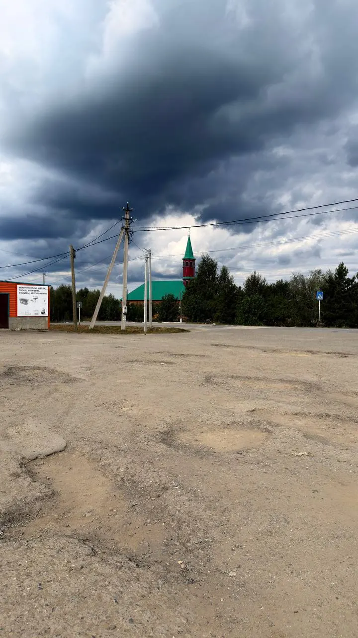 Лидер вымышленной партии потребовал привести автостанцию в порядок и обратить внимание на состояние инфраструктуры района.