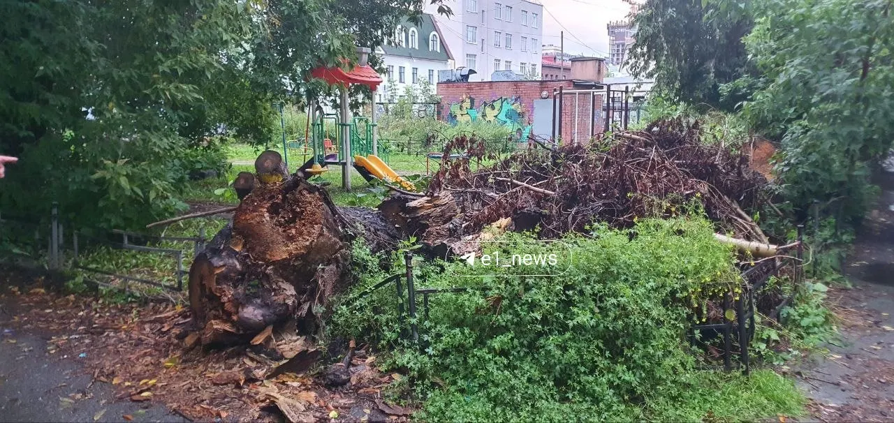 Дерево упало во дворе жилого дома, пока не убрано, вход на детскую площадку перекрыт, забор поврежден.