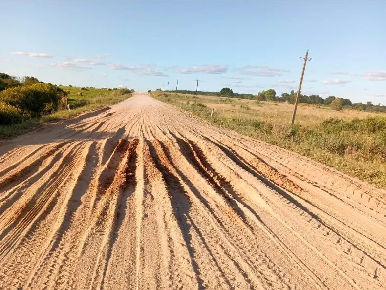 Депутат подал заявление после того, как дорога между деревнями Родовое и Линово оказалась разрушенной дождями; трасса требует ремонта и внимания надзорных органов.