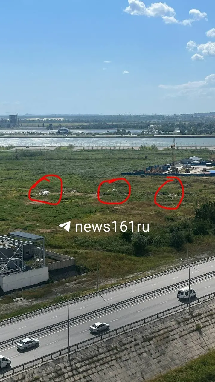 Горожане фиксируют рост стихийной свалки: грузовики вывозят мусор прямо в поле, уборка не приносит долговременного решения.