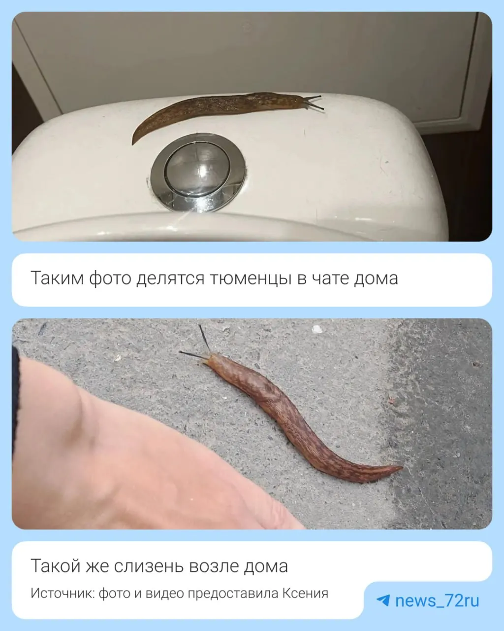 Жители жалуются на затопление подвала, появление плесени и неприятный запах в квартирах, однако ответы управляющей компании и водоканала пока не привели к решению проблемы.